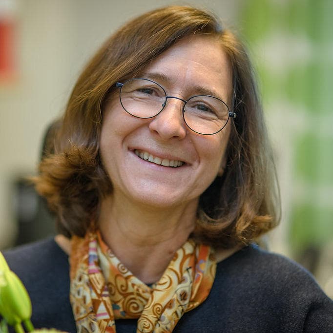 Fatima Pedrosa Domellöf